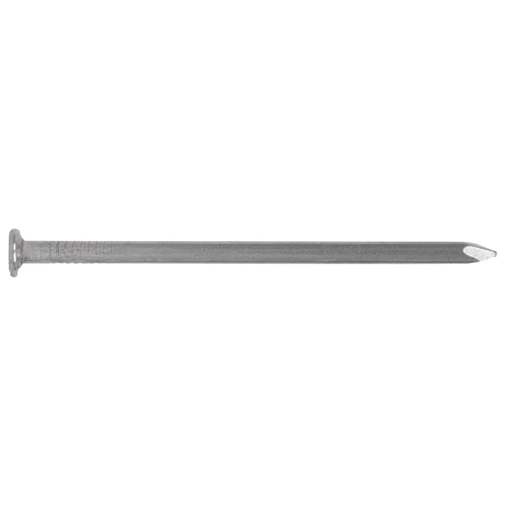 blister-con-20-clavos-estandar-2-1-2-con-cabeza-fierocle-2-1-2a-292.webp