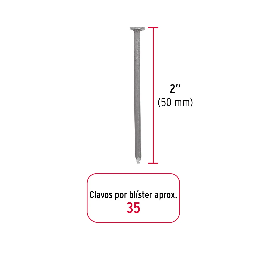 blister-con-35-clavos-estandar-2-con-cabeza-fierocle-2a-91c.webp