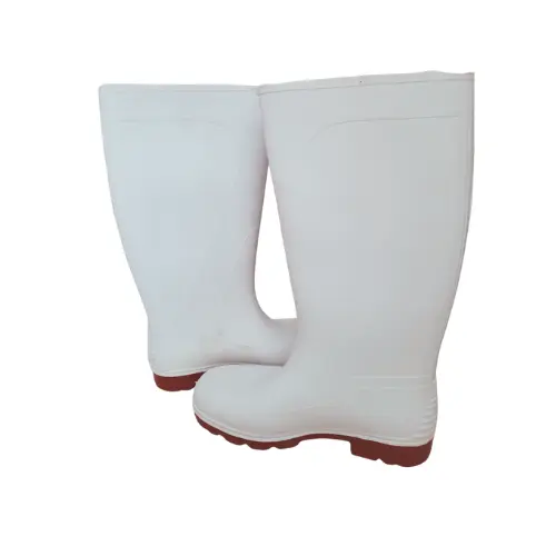 Diseño sin título (37).webp