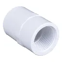 337248-a1.webp