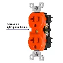 480221.webp