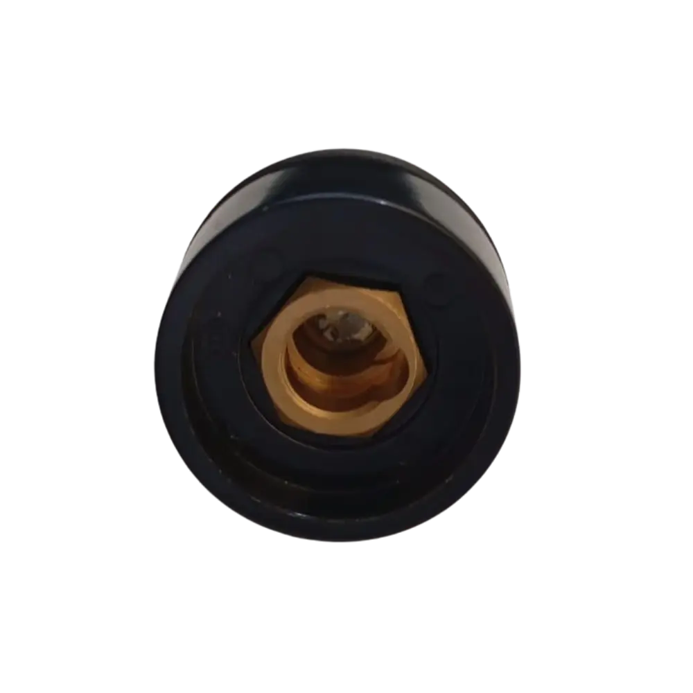 HEMBRA2.webp