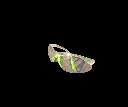 lente tenazit.webp